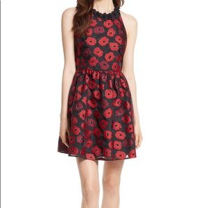 Kate spade poppy fit and flare